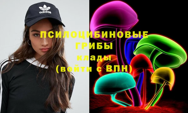 амф Магадан