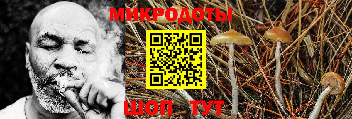 Псилоцибиновые грибы MAGIC MUSHROOMS Печора